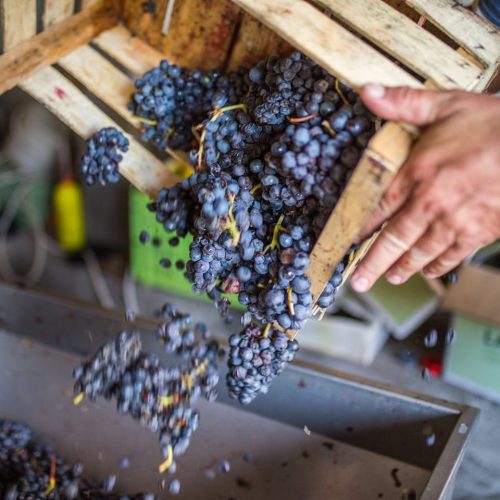 75610779_123499915758946_5621793710049067008_n