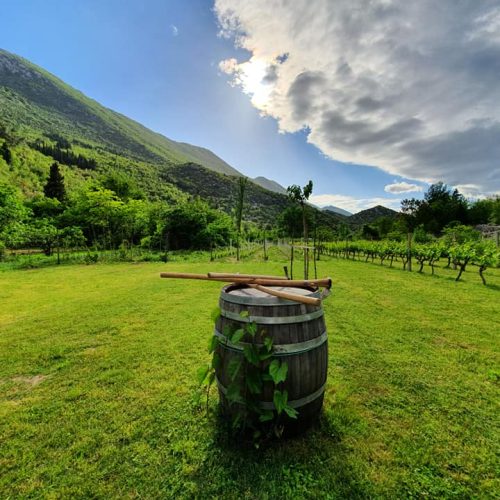 99006199_1203868136620931_3035480978400215040_n