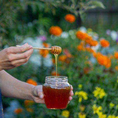 Woman holding a jar of honey on a garden background. Selective focus.